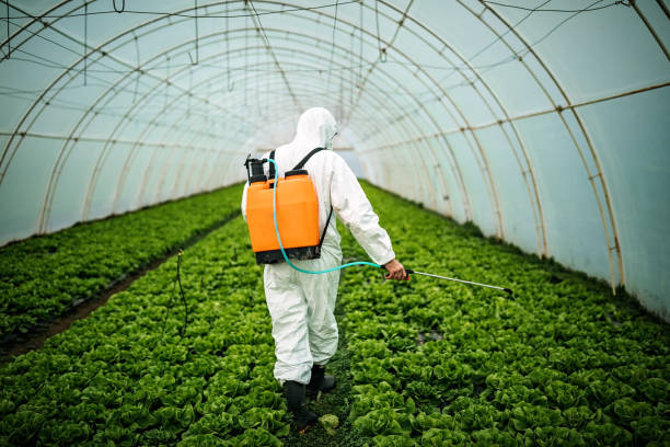 Best Mosquito Control Services  in Galion, OH