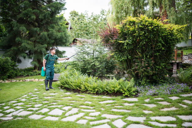 Best Pest Control for Homes  in Galion, OH