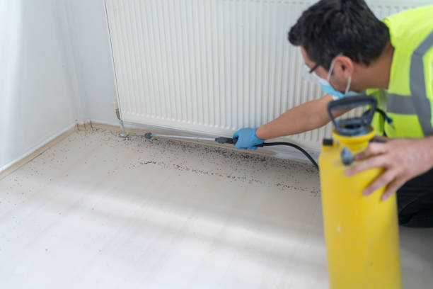 Best Exterminator Services  in Galion, OH